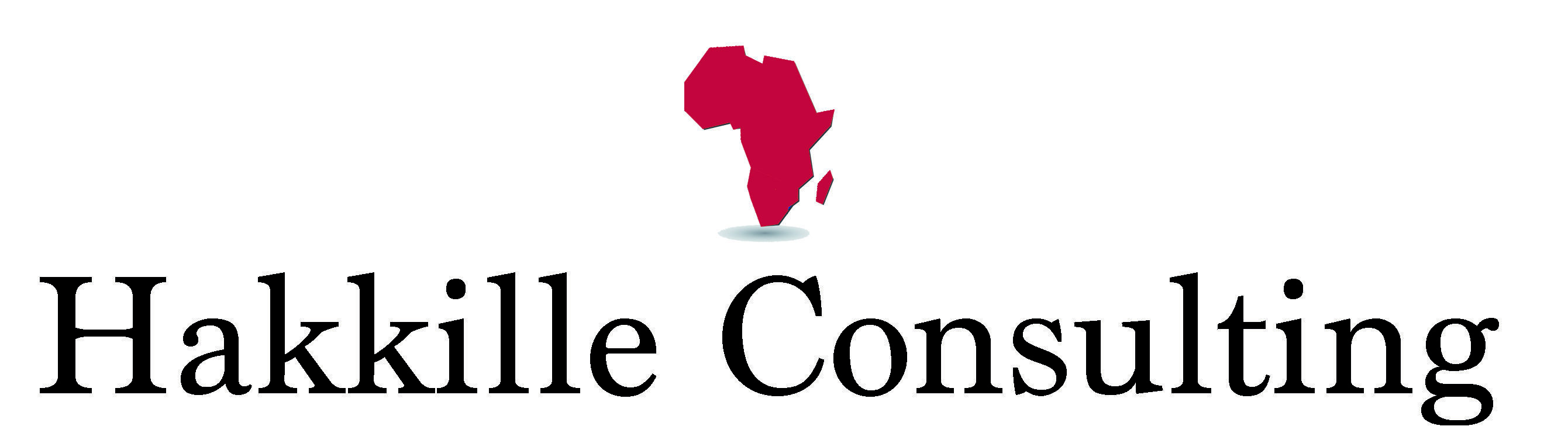 Hakkille Consulting